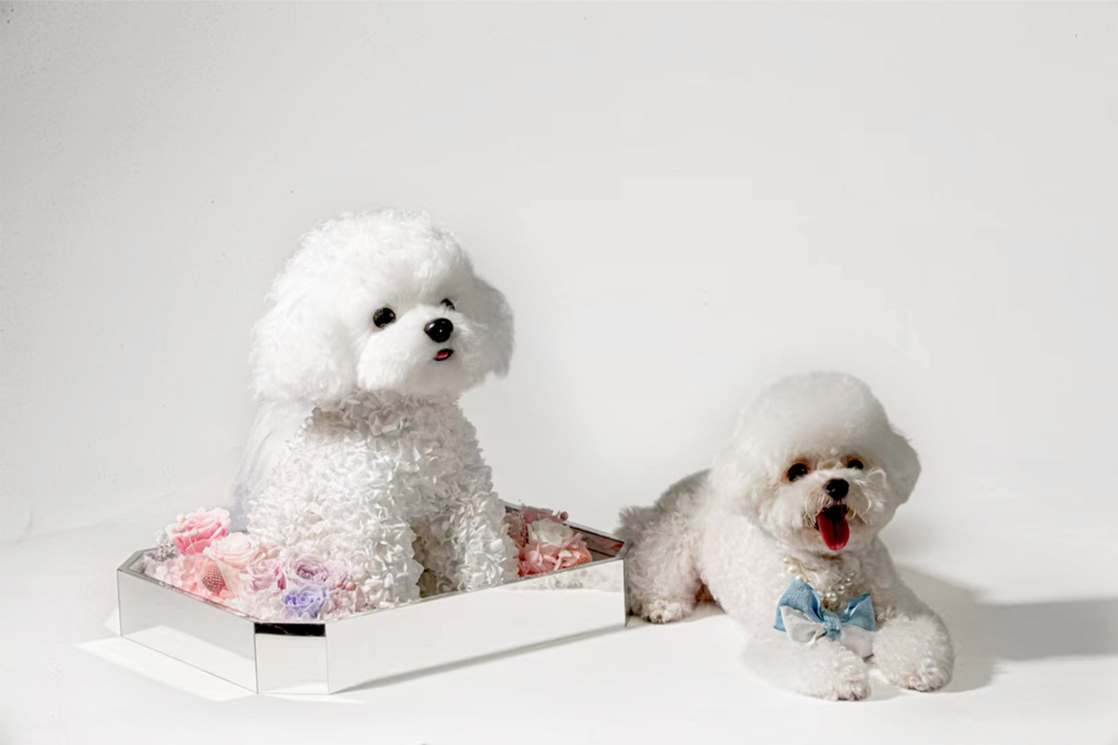 CUSTOMIZE WITH YOUR OWN PET PHOTO