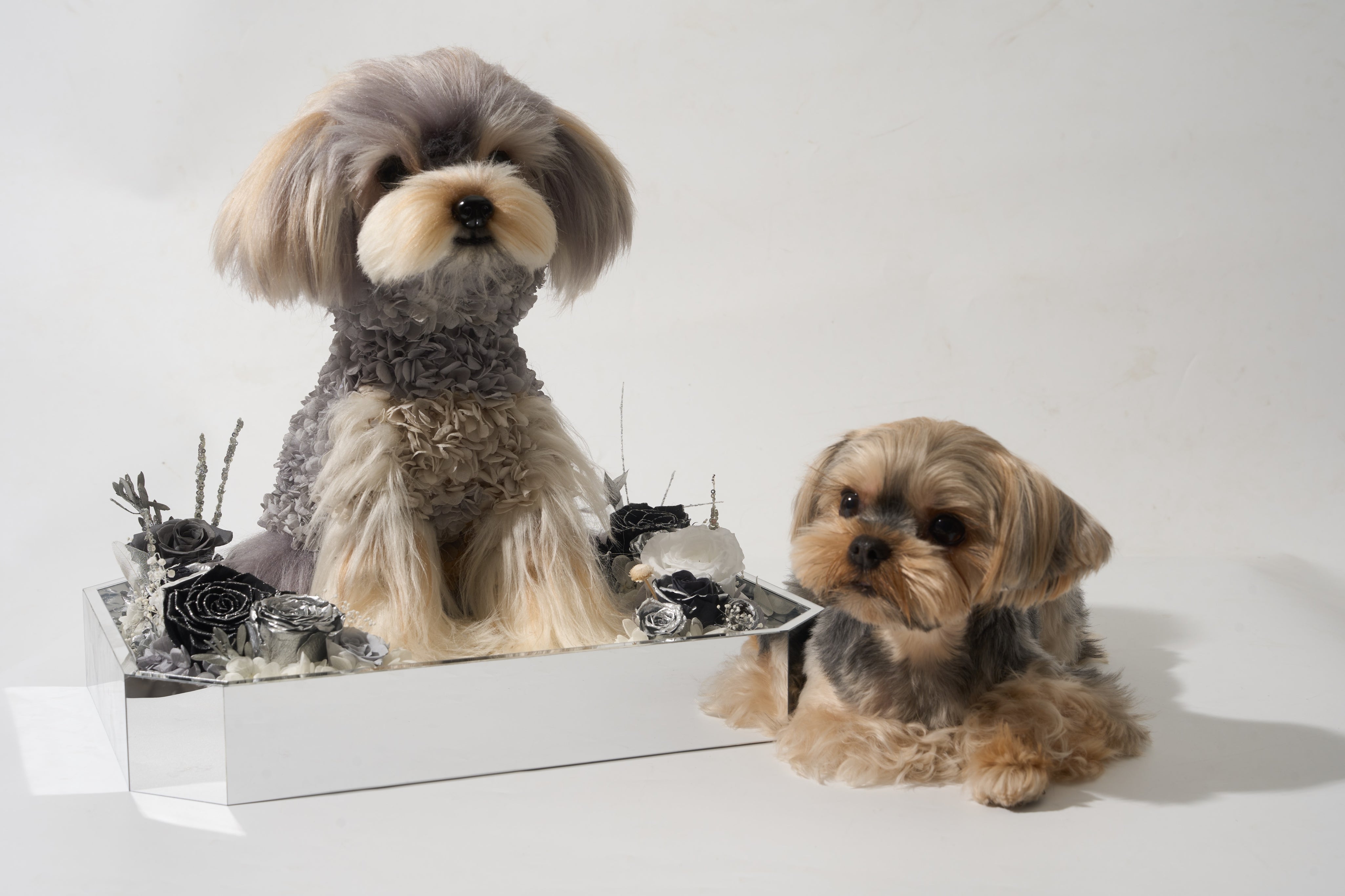 CUSTOMIZE WITH YOUR OWN PET PHOTO