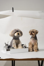 CUSTOMIZE WITH YOUR OWN PET PHOTO